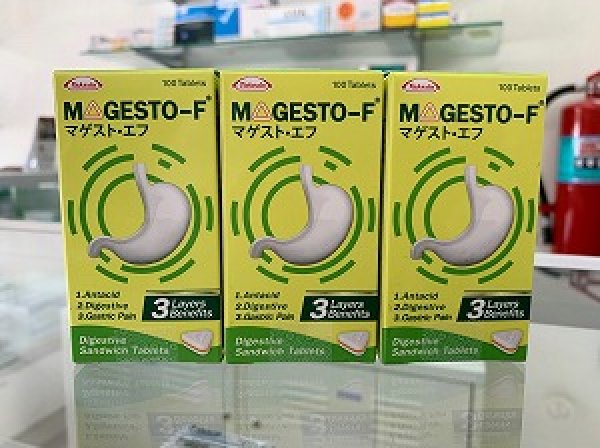 画像1: マグスト・エフ（MAGESTO-F）100錠×3ボトル (1)
