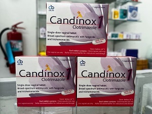 ＜ガジンダ症治療／エンペシド腟錠＞カンディノックス１（Candinox 1）500mg/1膣錠×3箱